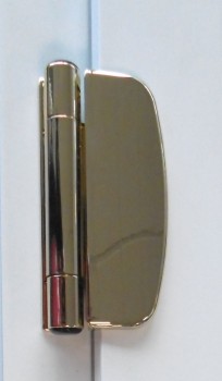Gold Hinge
